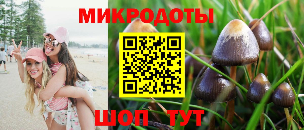 Галлюциногенные грибы GOLDEN TEACHER Набережные Челны